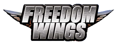 Freedom Wings title screen for Nintendo DS